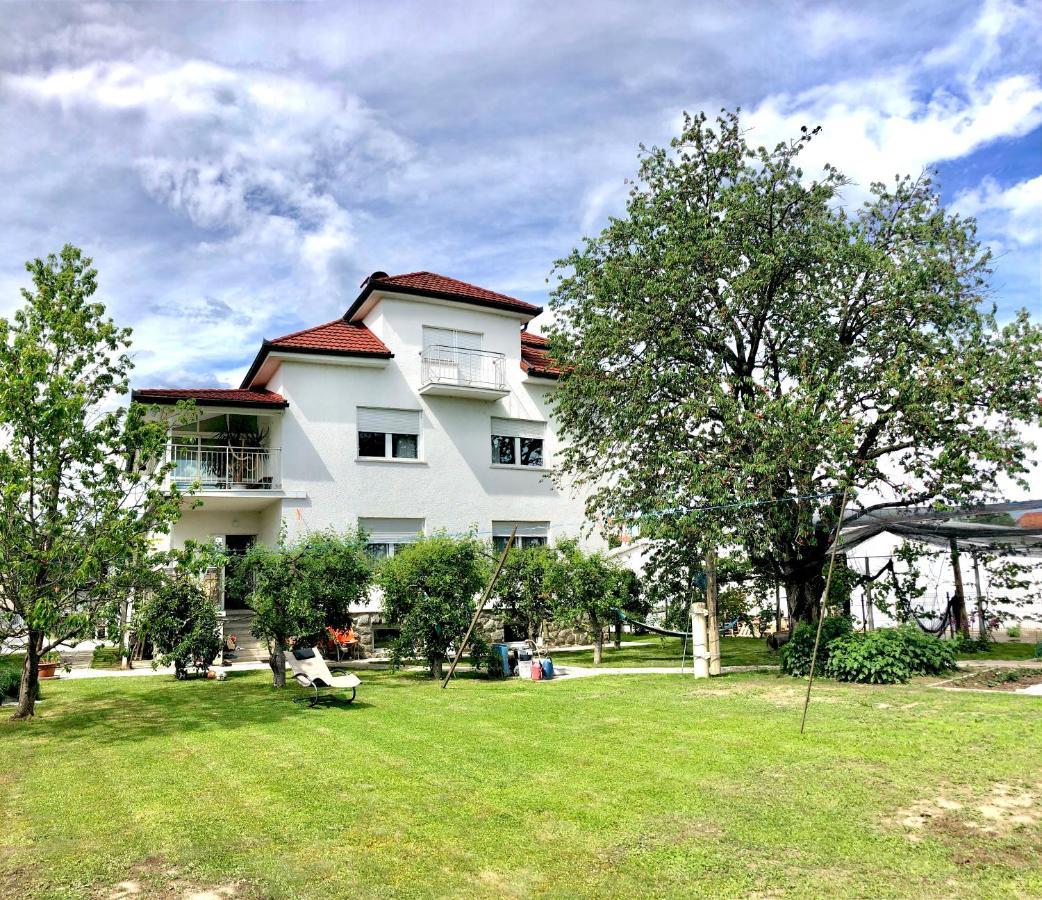 Apartment Andrej